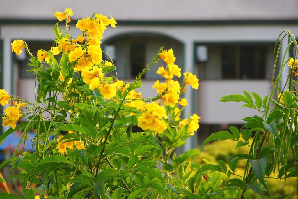Aveda Blue Country Resort Panchgani Buitenkant foto